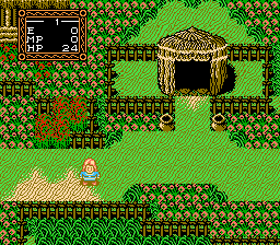 Willow - Nintendo NES
