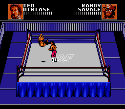 WWF WrestleMania - Steel Cage Challenge - Nintendo NES